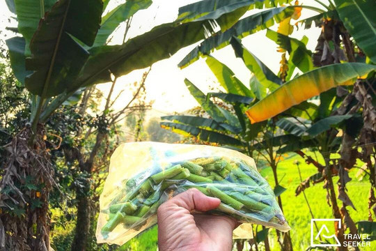 Travel Seeker-清莱必去景点