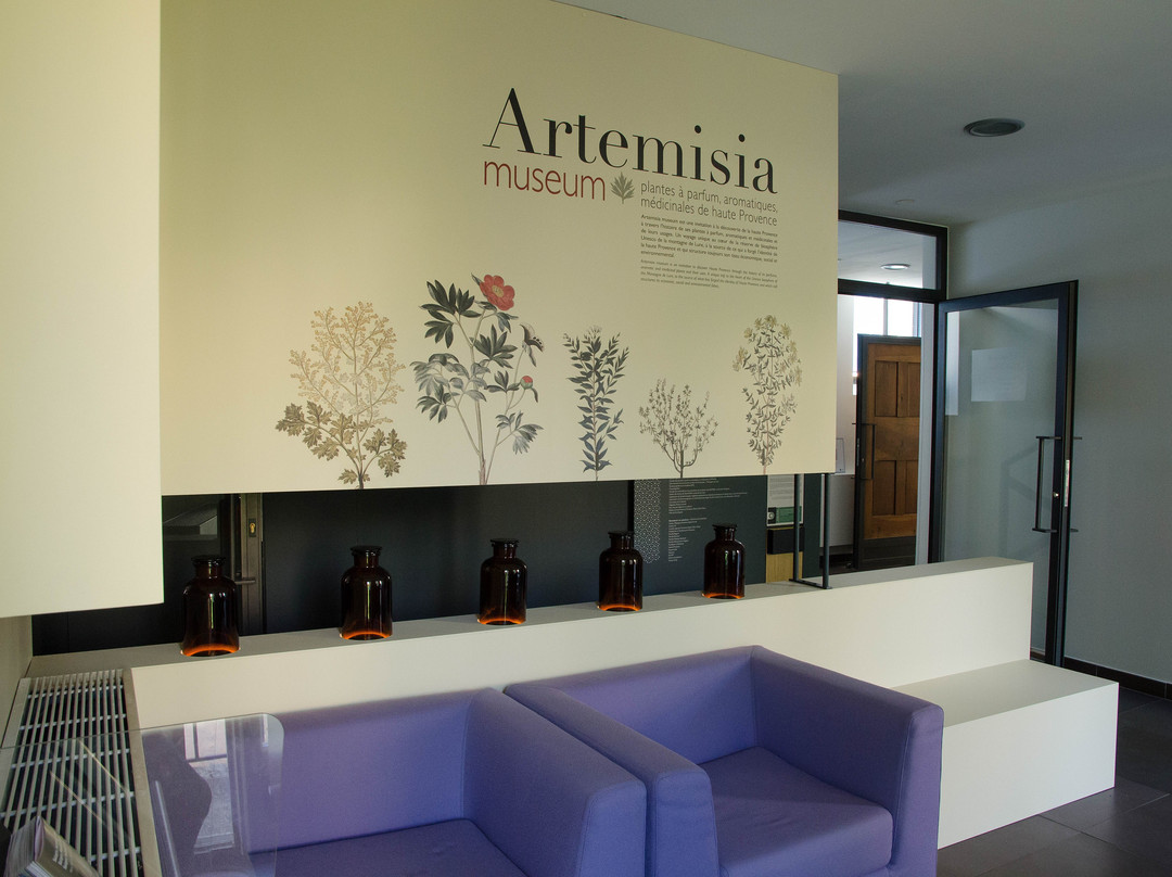 Artemisia Museum景点图片