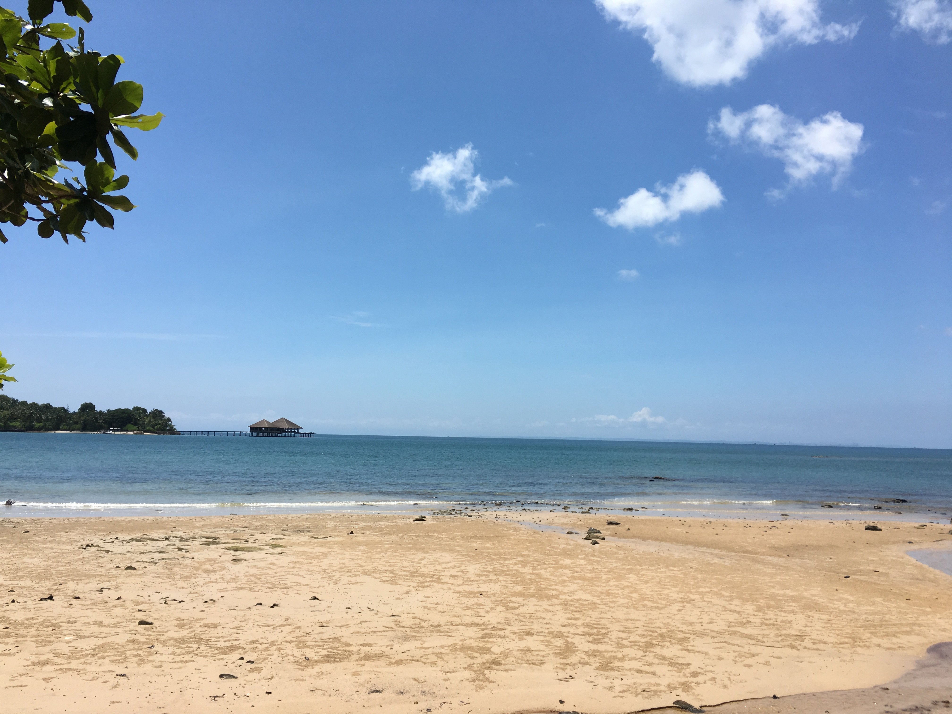 棕榈滩别墅度假村-泳池