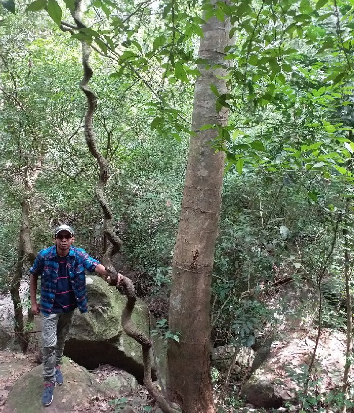 Kirigalpoththa Hike-Ohiya必去景点