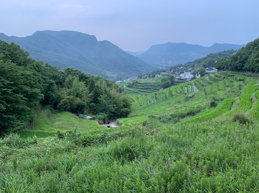 Nakayama Senmaida景点图片