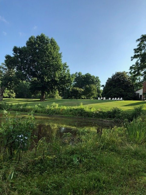 The Inn at Mitchell House主图