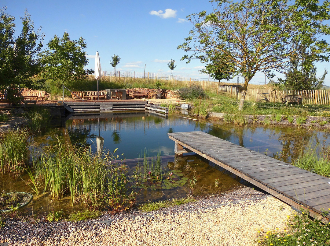 Gaenz Weingut & Biohotel主图