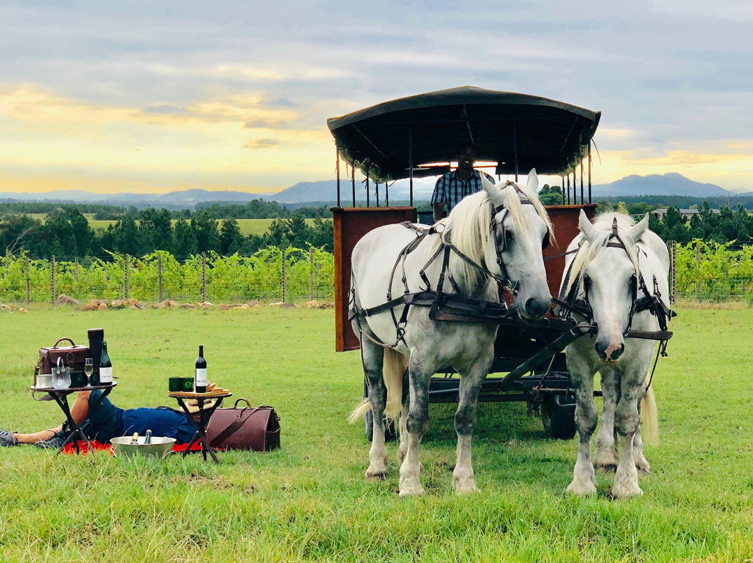 Hog Hollow Horse Trails