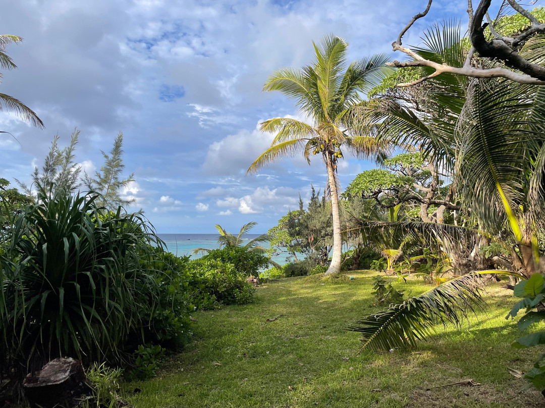 Tamanou Beach