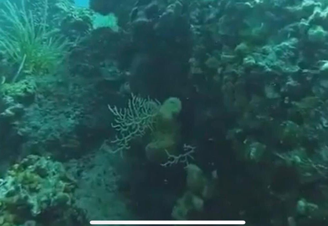 Scuba Diving Center景点图片