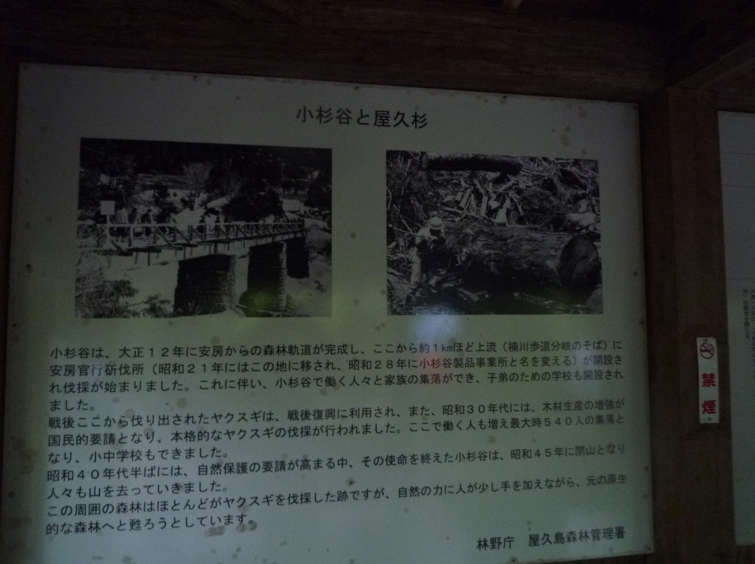 Ruins of Kosugidani Village景点图片