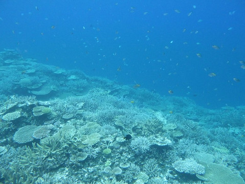 Yabiji Marineheart Miyakojima-Miyako-jima必去景点