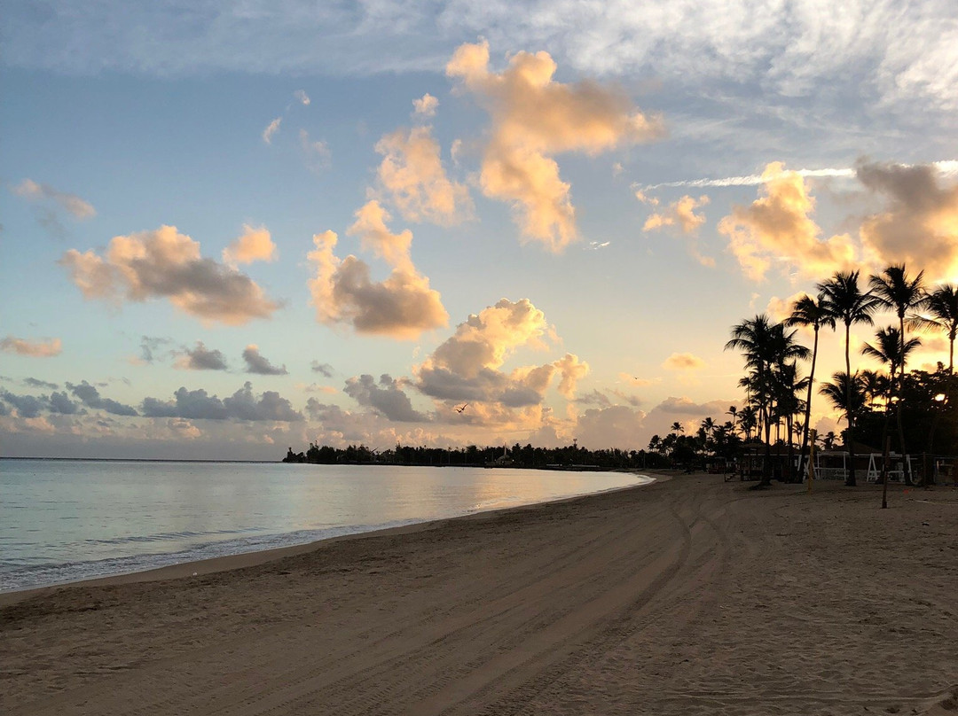 Carolina Beach-卡罗来纳必去景点