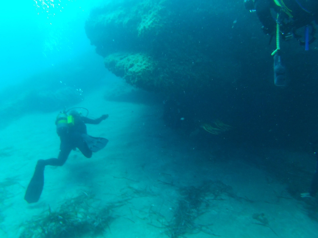 Centro de Buceo Branquias景点图片