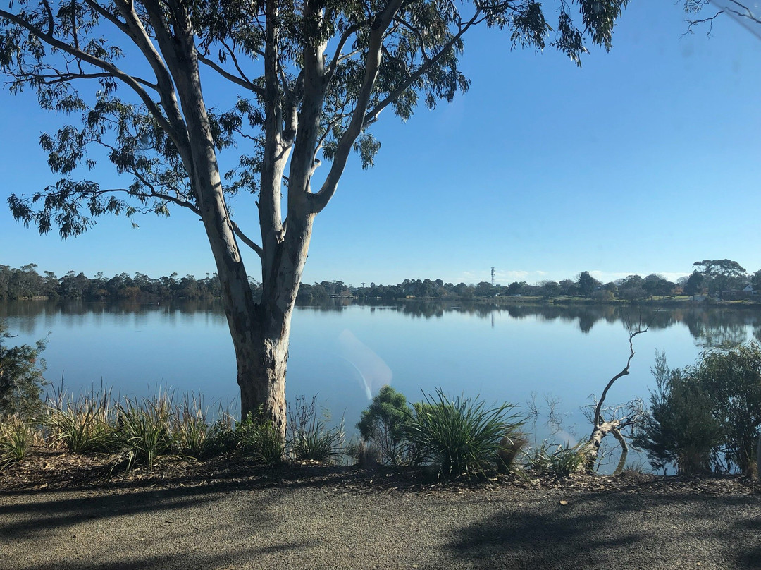 Lake Guthridge-塞尔必去景点