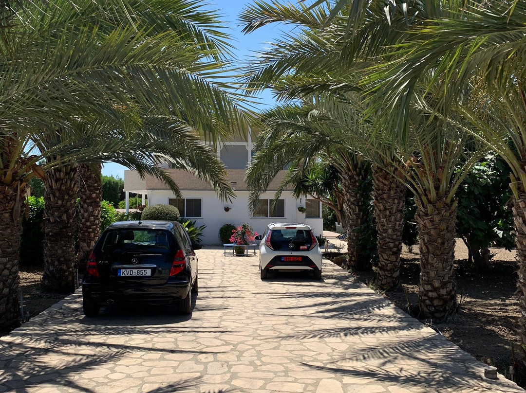 Villa Elia Bed and Breakfast主图