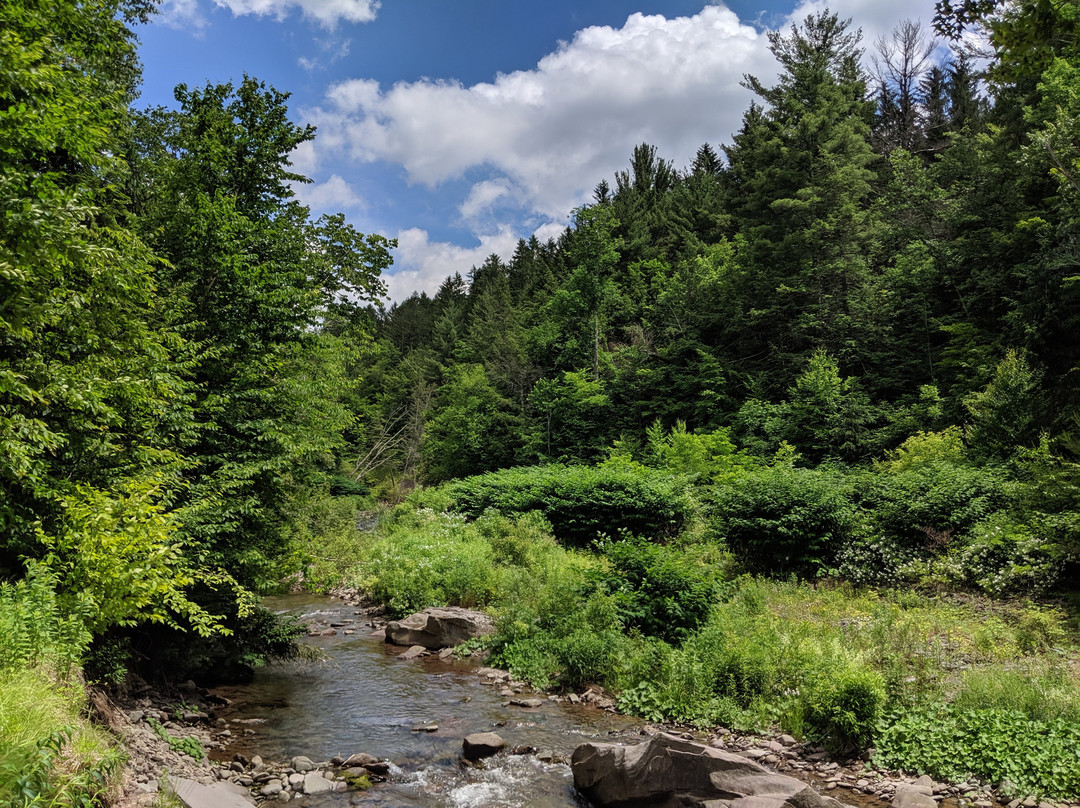 Spruceton Inn - a Catskills Bed and Bar主图