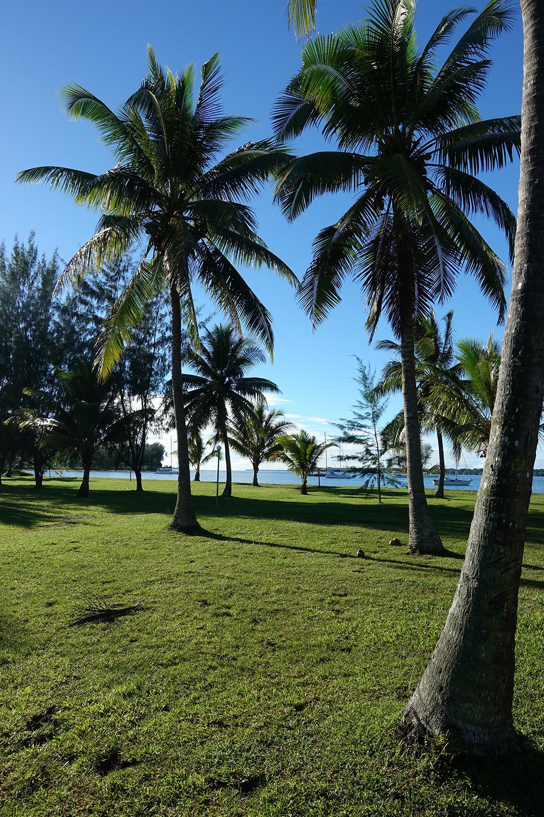 Beachfront Resort-浴室