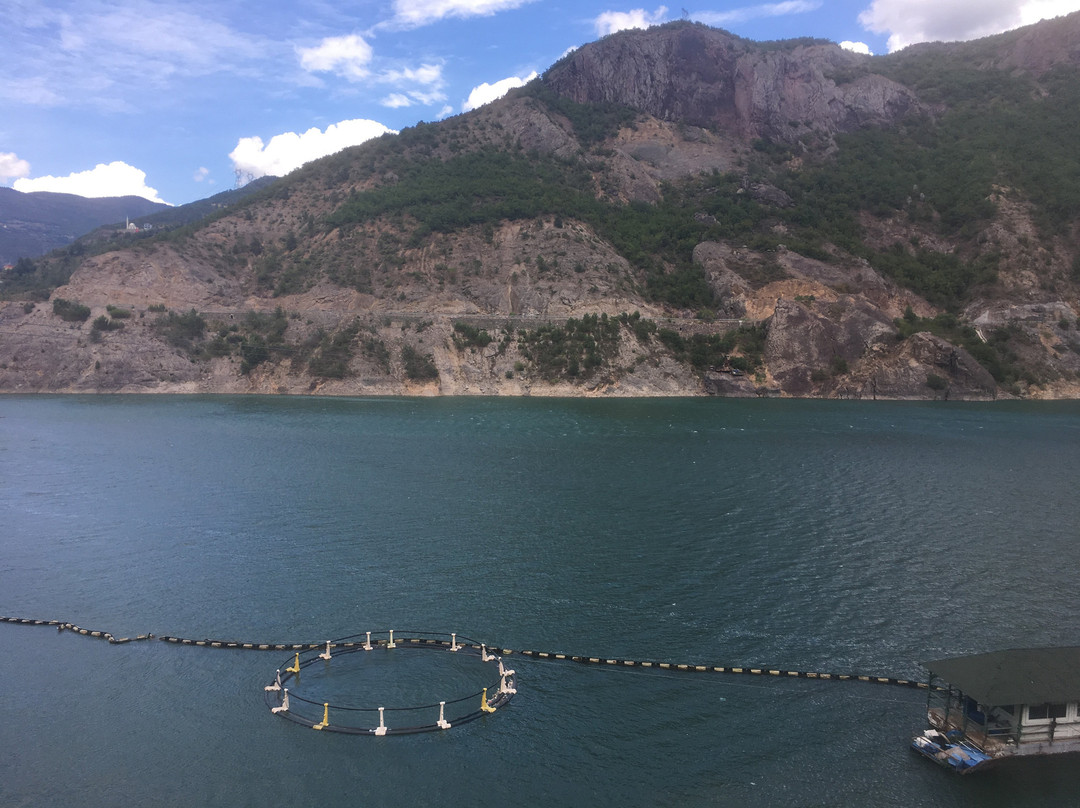 Coruh Zipline景点图片