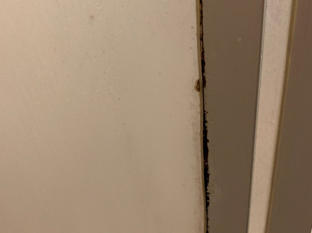 Hotel Bungalows Lolita主图