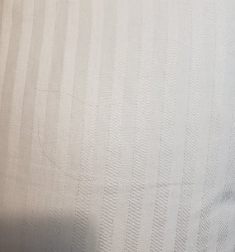 Baymont by Wyndham Jacksonville主图