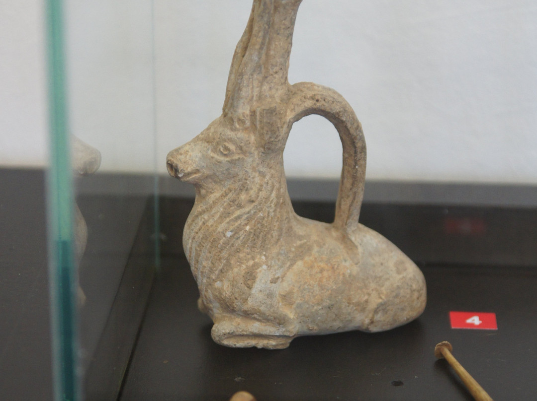 Archaeological Museum of Arlon景点图片