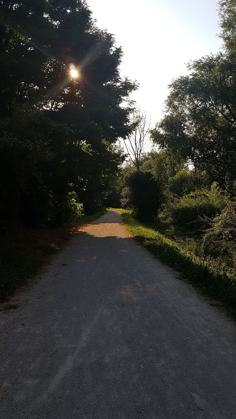 La Campagnola Trattoria con Alloggio-官方