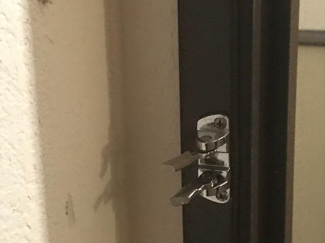 Super 8 by Wyndham Park Rapids主图