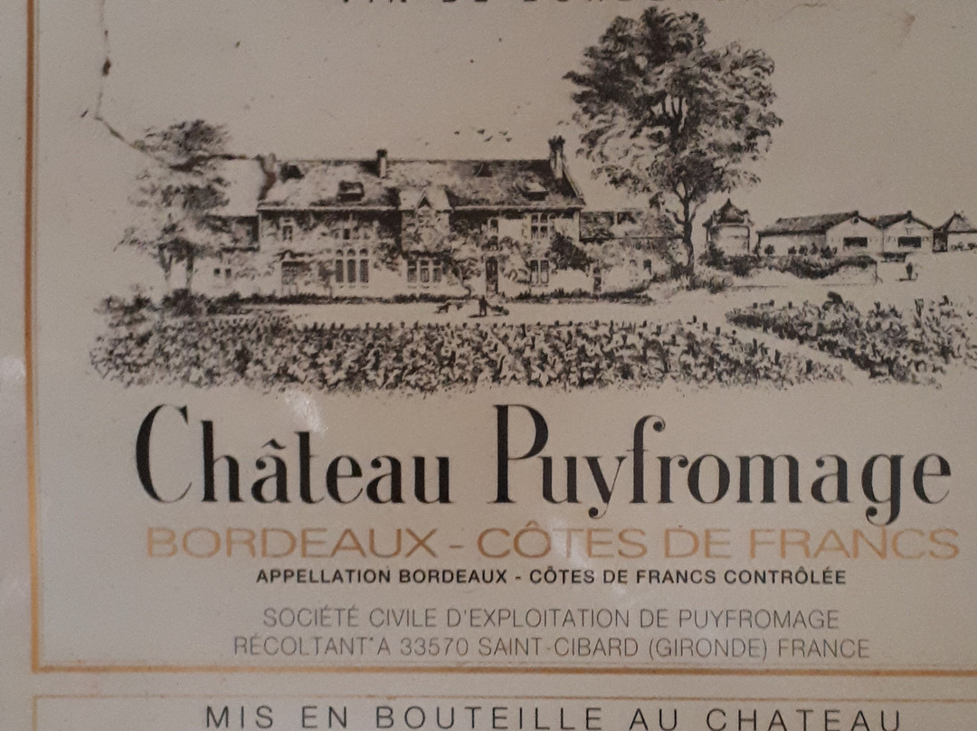 Château Puyfromage景点图片