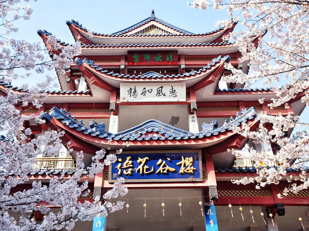 SHANGHAI LOOK AT INTERNATIONAL TOURISM AGENTS CO., LTD.-上海市必去景点