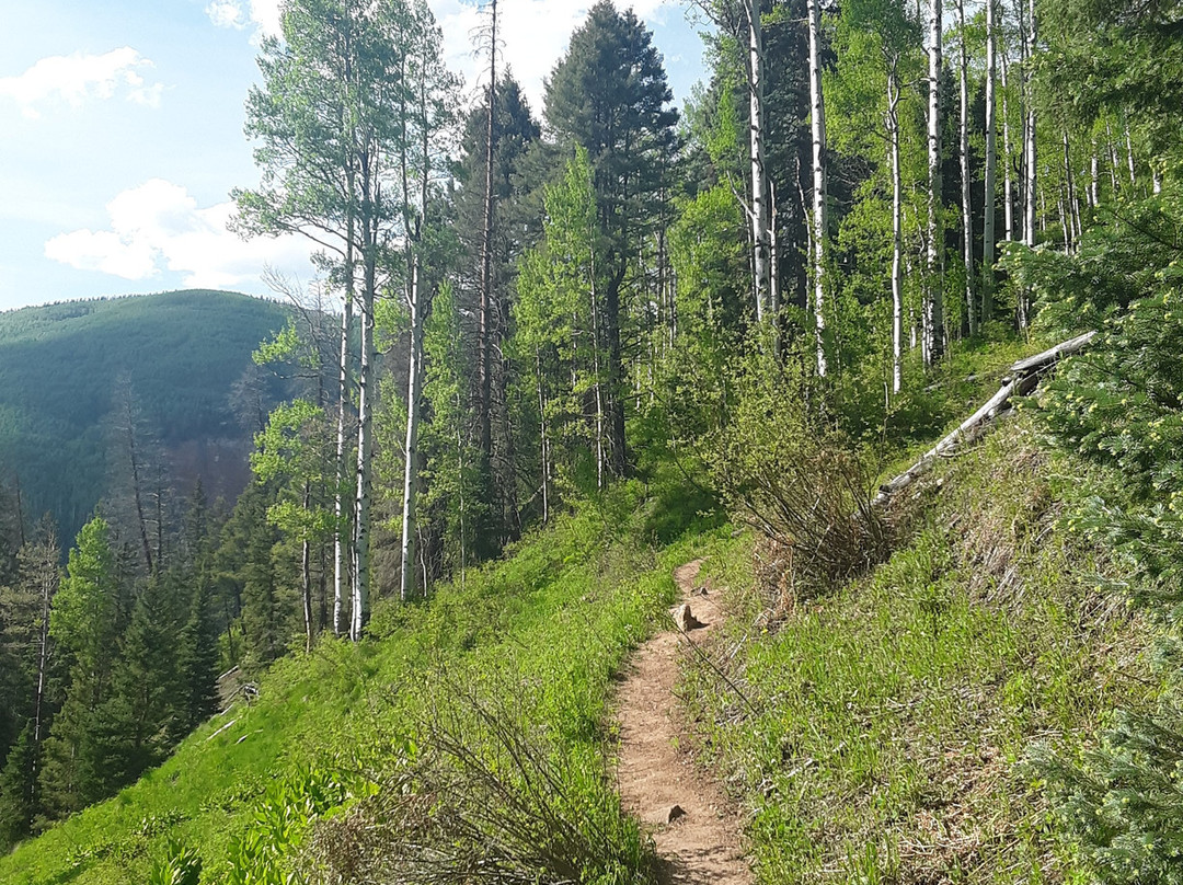Geyser Spring Trail-多洛雷斯必去景点