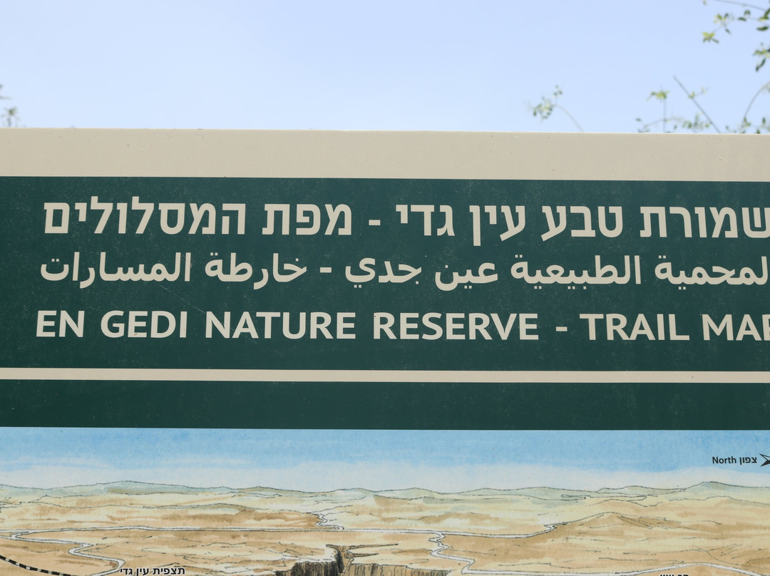 Ein Gedi Botanical Garden景点图片