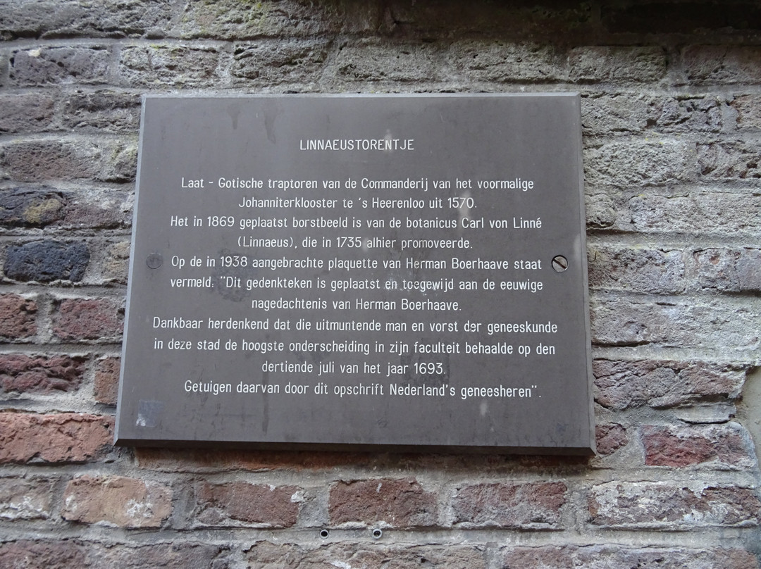 Linnaeustorentje-Harderwijk必去景点