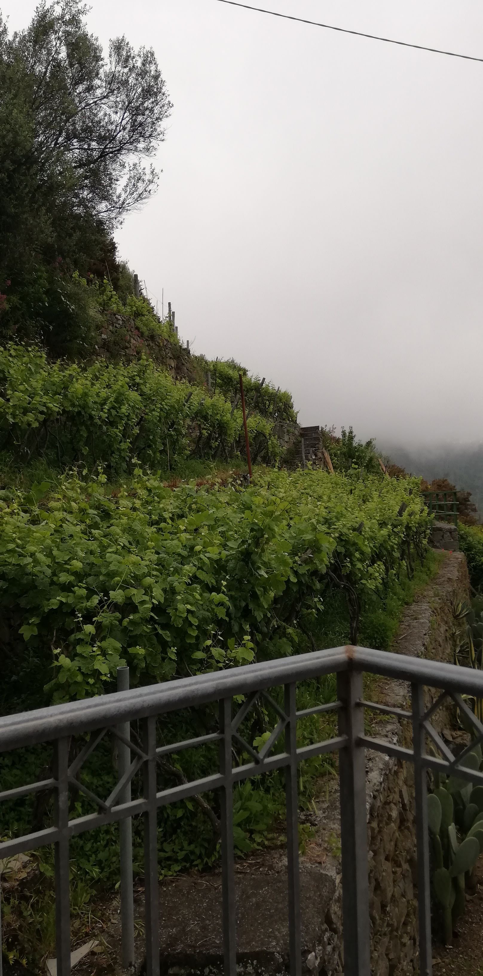 伊尔萨拉瑟诺酒店-酒店景观