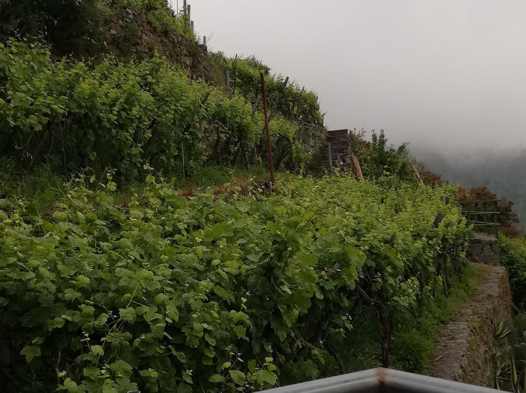 伊尔萨拉瑟诺酒店主图