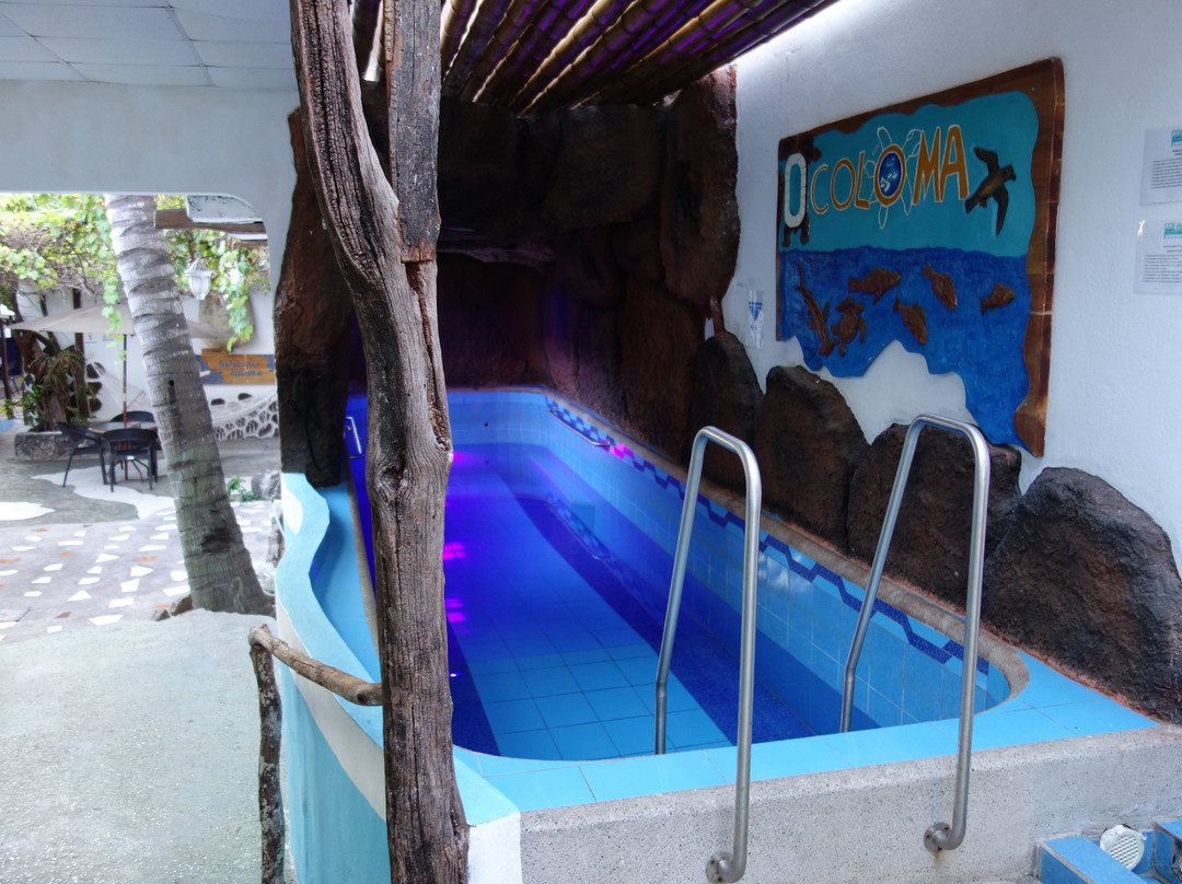 科洛马加拉帕戈斯旅馆主图