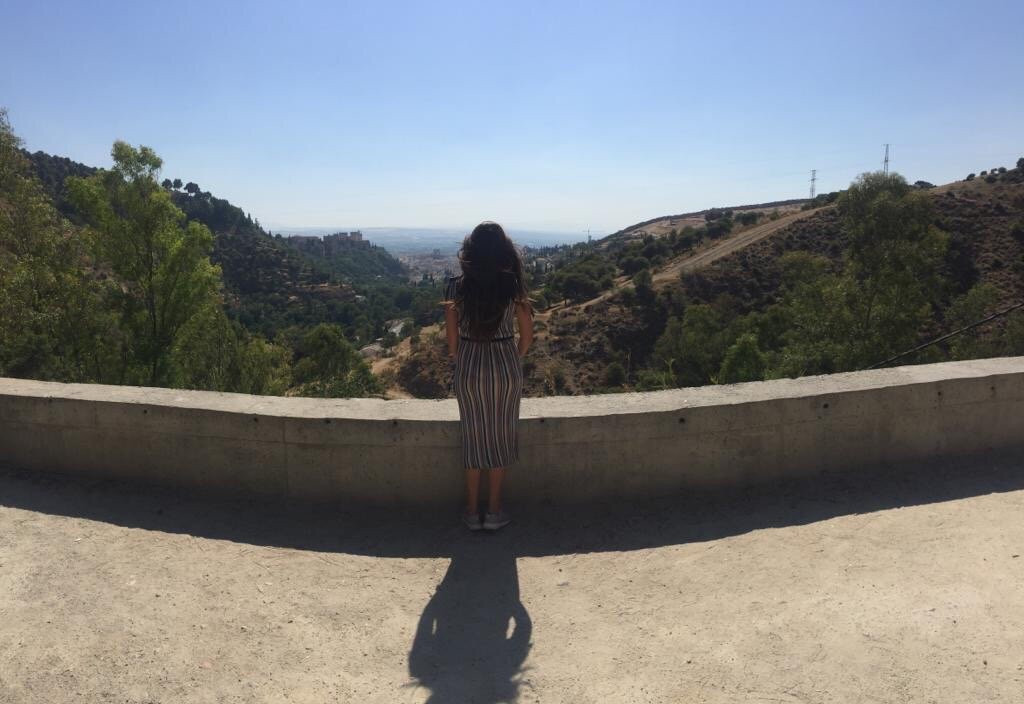 Toro Tours-Nueva Andalucia必去景点