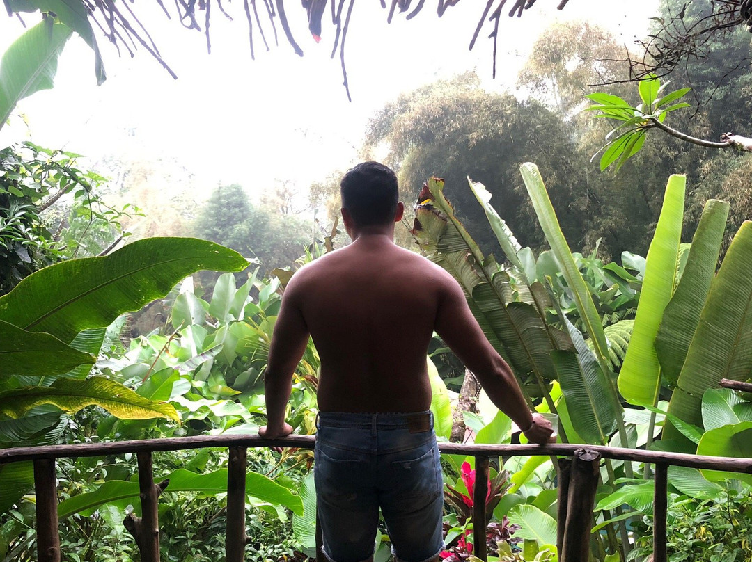 Umah Tis Sebatu主图