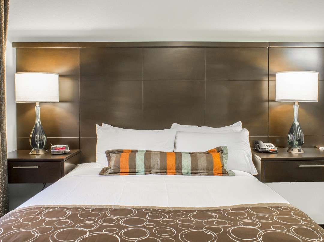 Staybridge Suites Jacksonville-Camp Lejeune Area by IHG主图