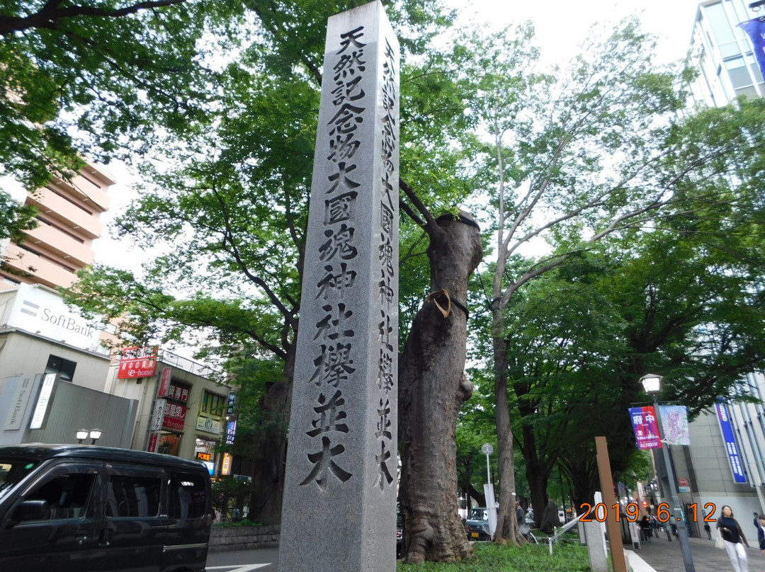The road lined with Japanese Zelkova near Babadaimon Gate-府中市必去景点