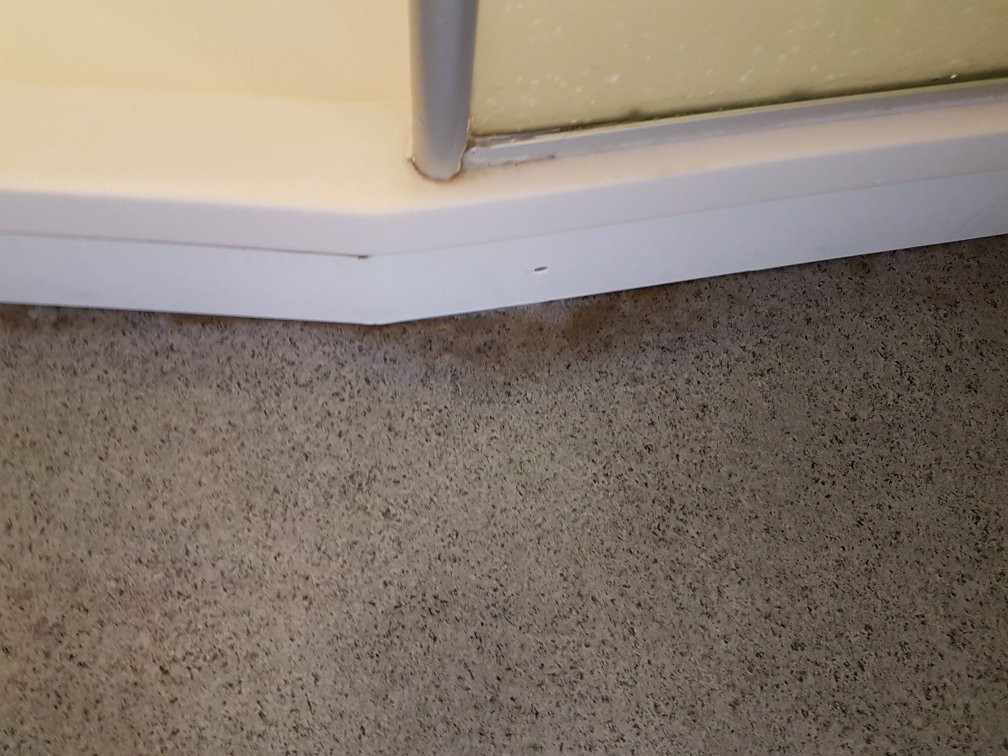 B&B HOTEL Bayonne Tarnos主图