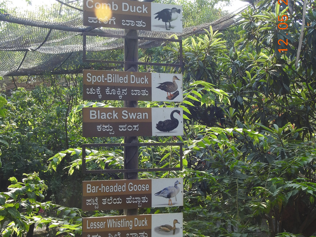 Sri Chamarajendra Zoological Gardens-迈索尔必去景点
