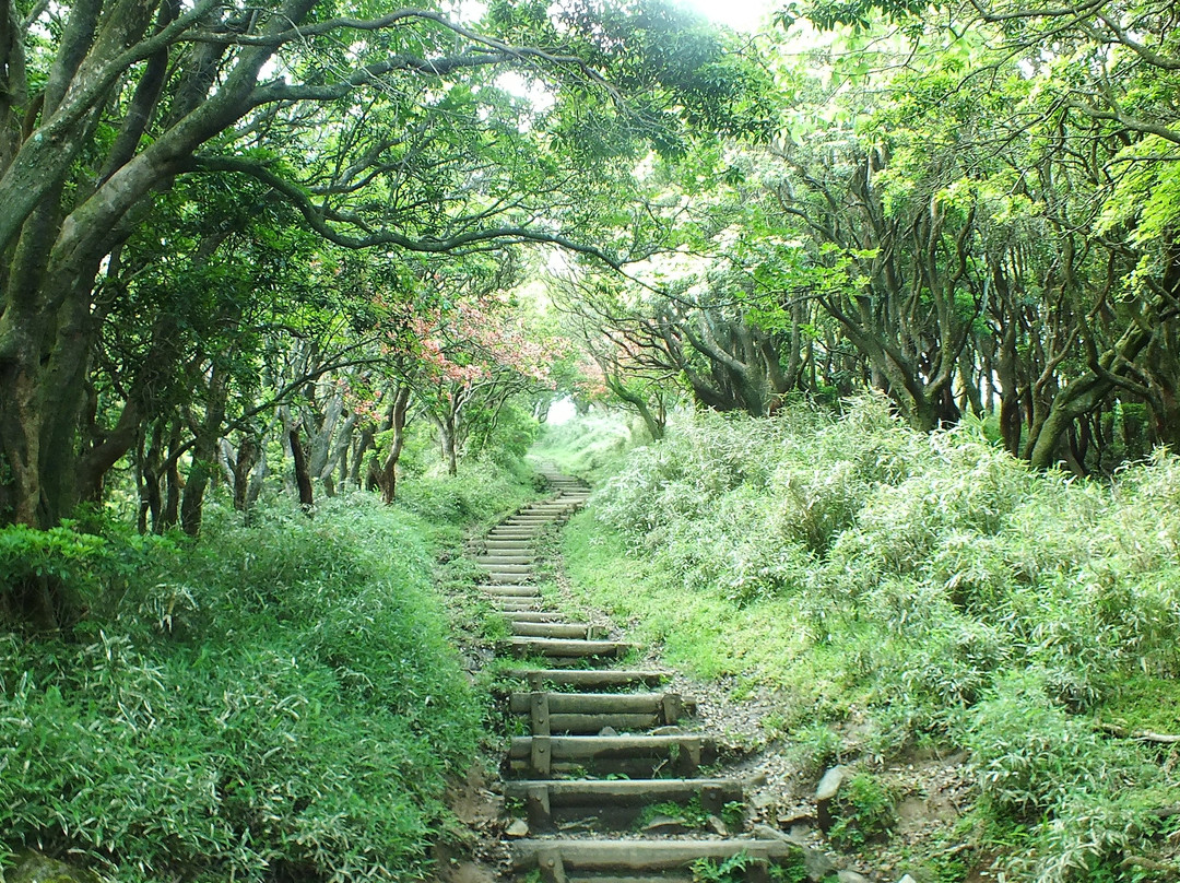 Mt. Daruma-伊豆市必去景点