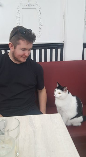 Lady Dinah's Cat Emporium主图