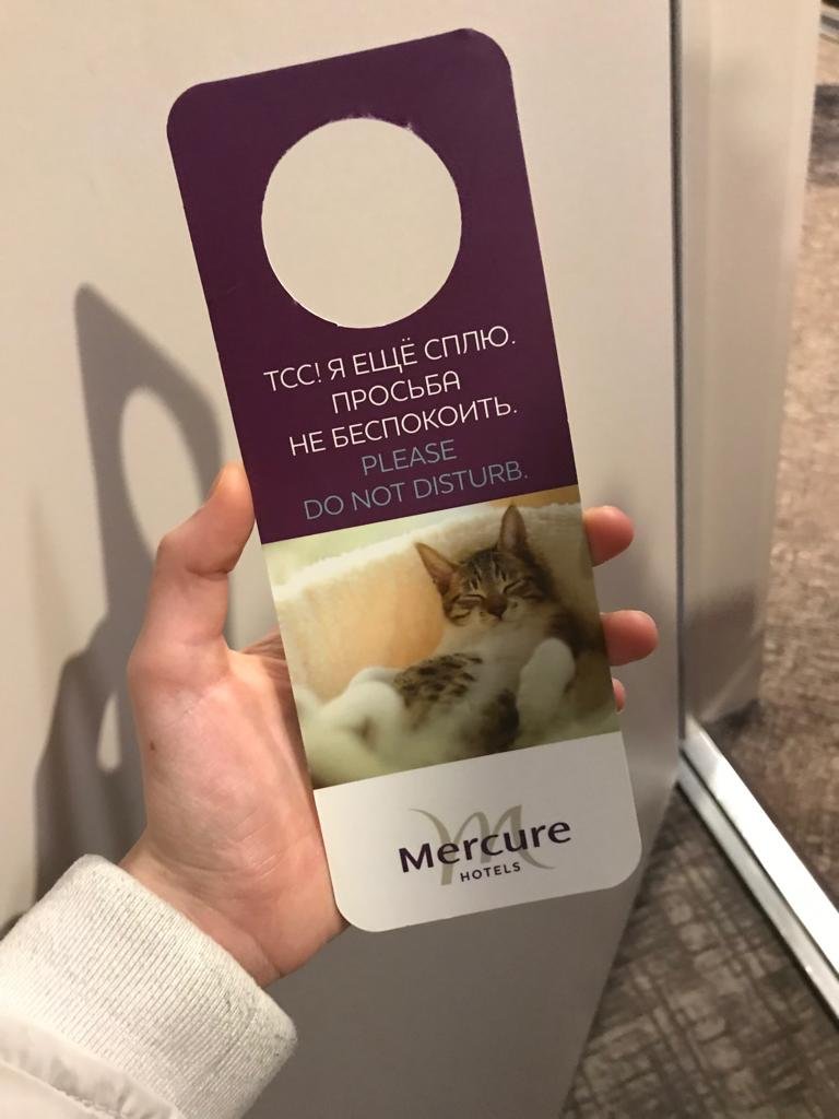 Mercure Voronezh Centre-portrait