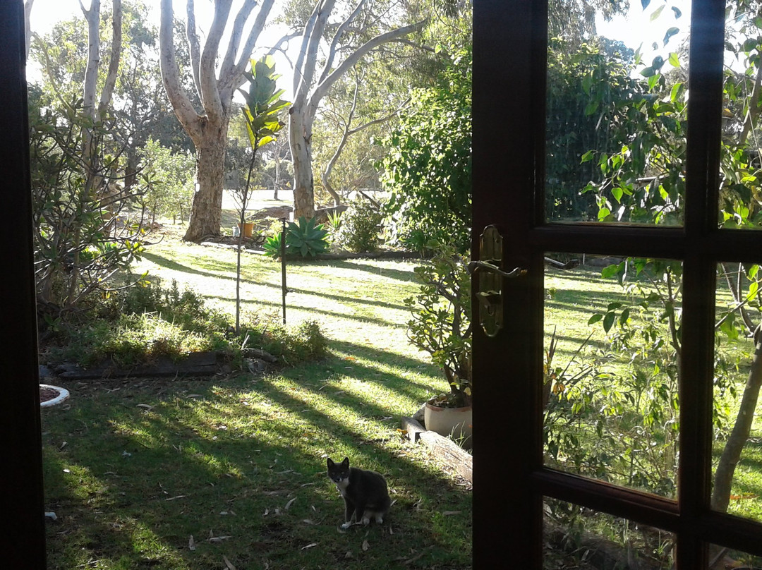 Vasse旅游攻略图片