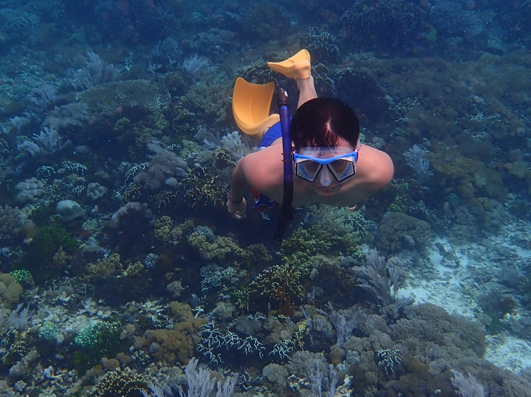 Komodo Marina Tour-Labuan Bajo必去景点