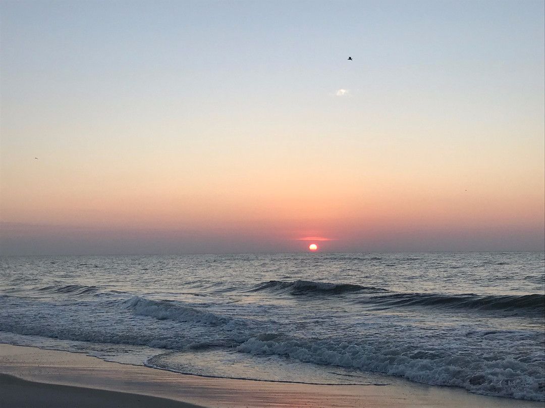 Beachside Motel主图