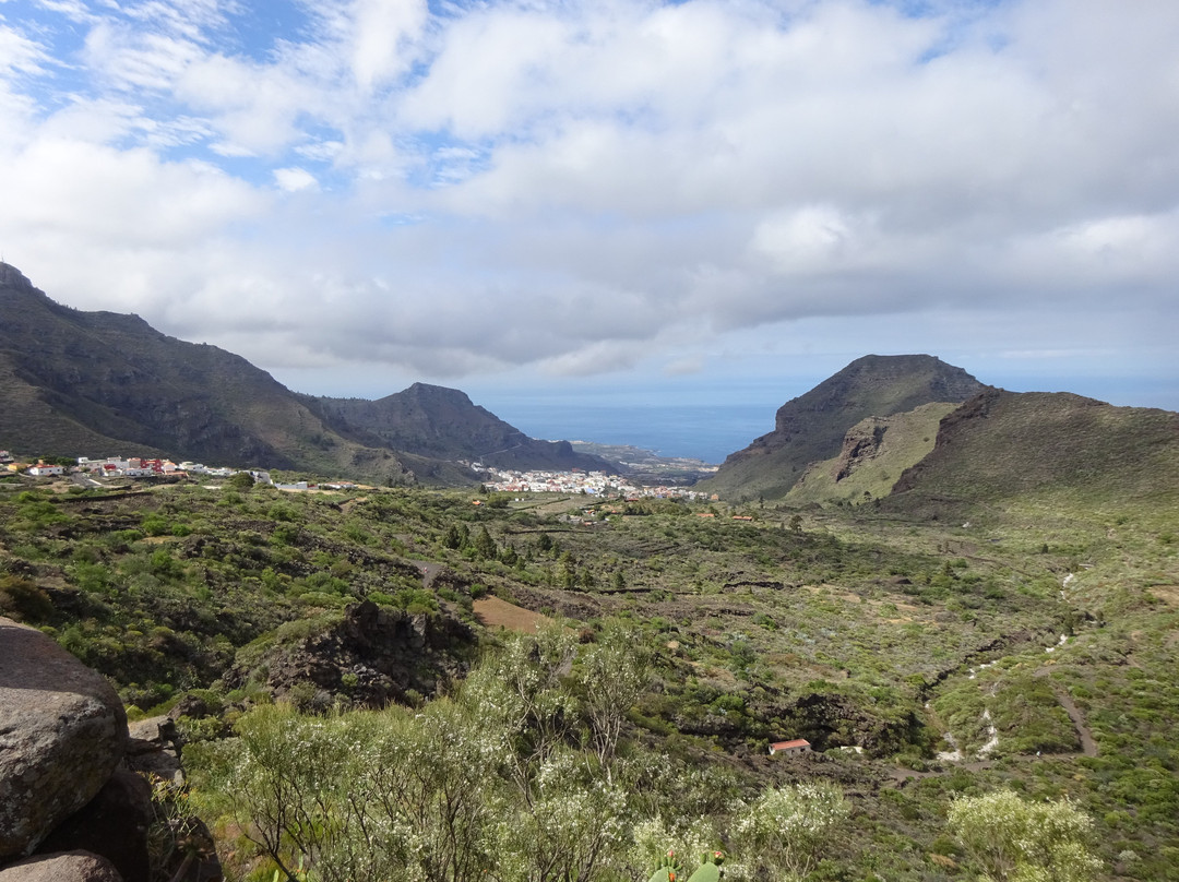 Canaventura - Private Day Tours-Guimar必去景点