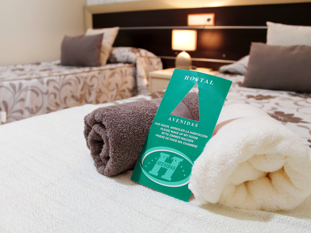Hostal Avenidas主图