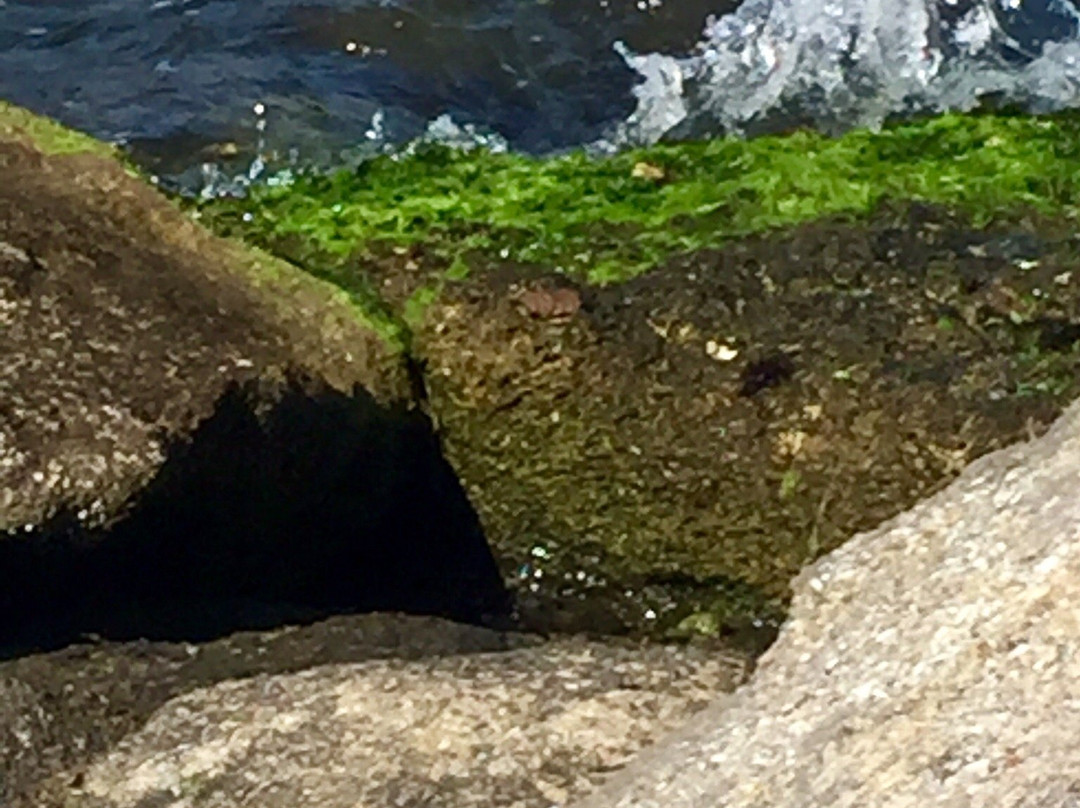 Ballard Park-墨尔本必去景点