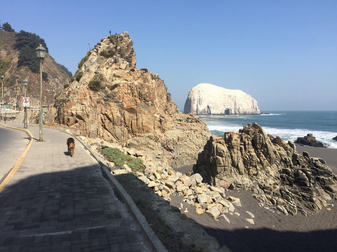 Ramal Talca - Constitucion - Train-Constitucion必去景点