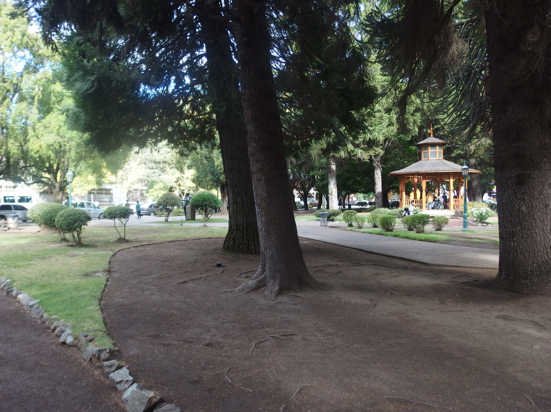 Plaza Sarmiento景点图片