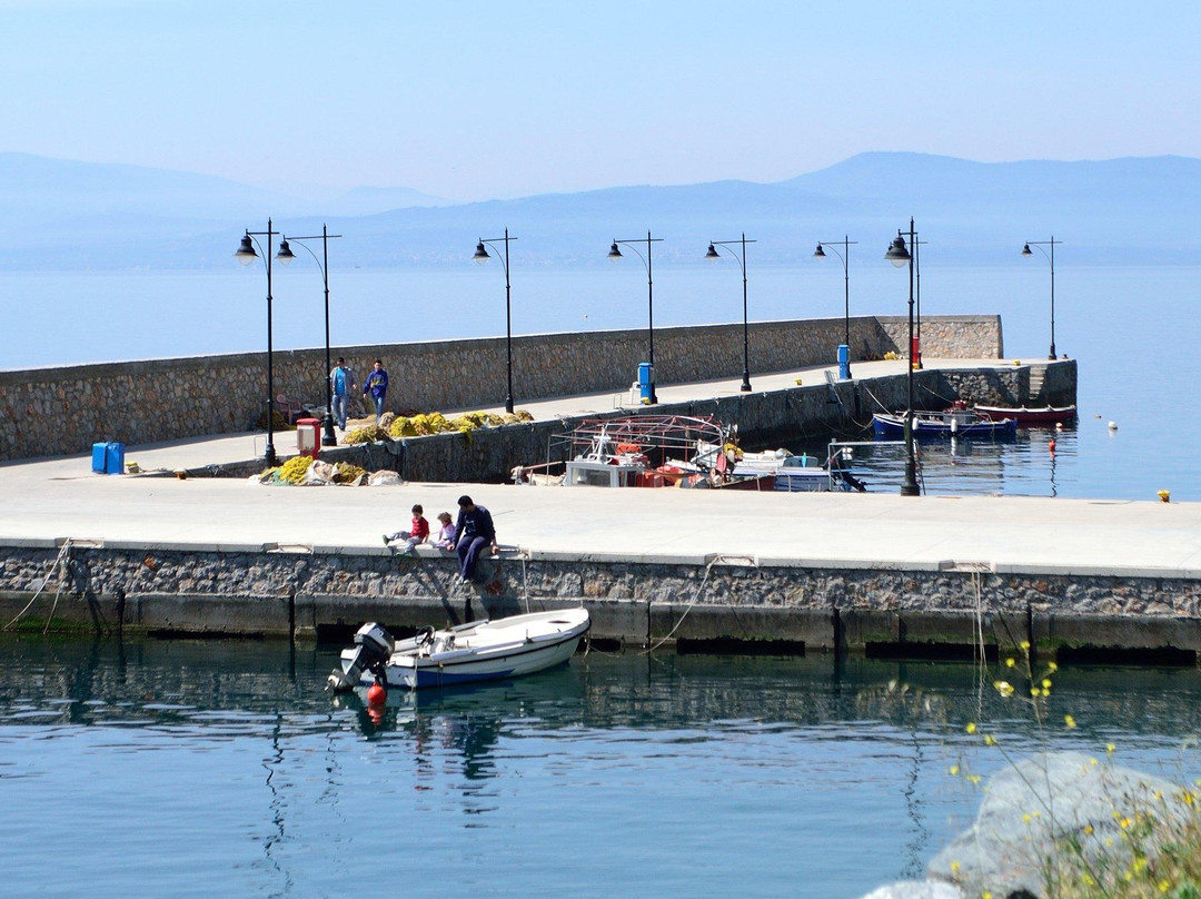 Kapougiati Studios主图